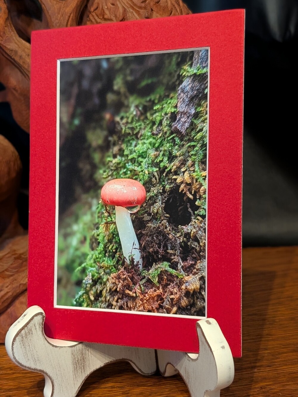 Original Mushroom Photography 5x7 Red Matted Print